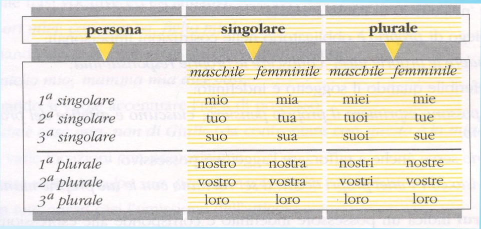 Tableau des adjectifs possessifs italiens