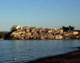 Lac de Vico - Grèbe