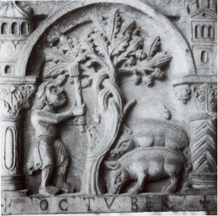 Image 76
