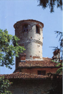 Image 15