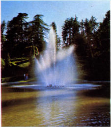 Varese