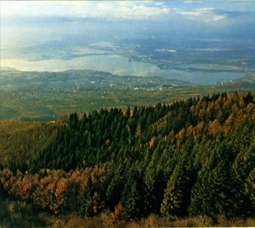 Varese